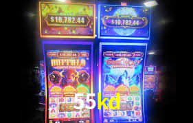 55kd,55kd.vip